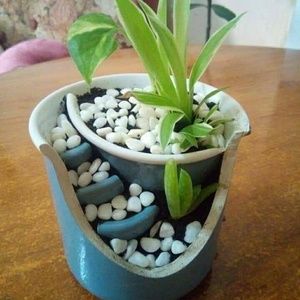 Meet your Posher, Bernice